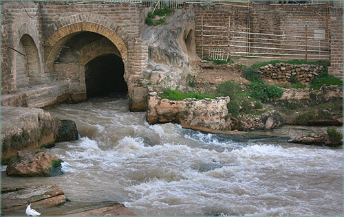 ������� ���� ������� shter- Iran (7